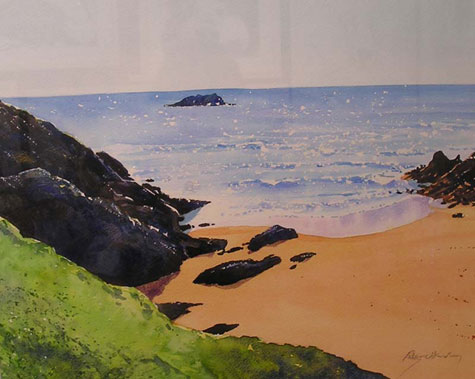 art gallery devon